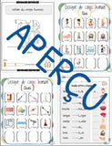 Cahier d'activités - Palier 0 - Corps humain