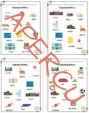 Cahier d'activités - Palier 0 - Rentrée scolaire