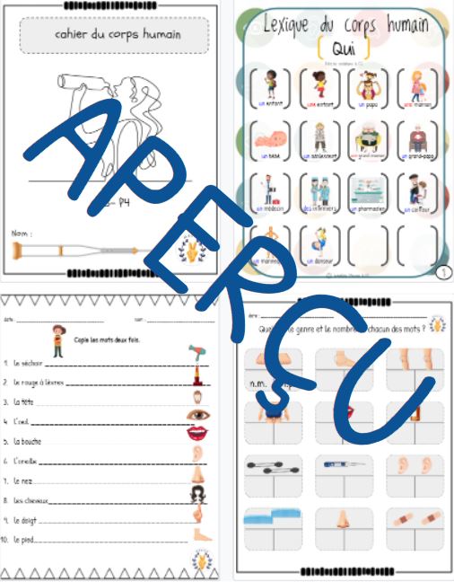 Cahier d'activités complet - intermédiaire - Corps humain