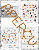 Cahier d'activités - Palier 0 - Communauté
